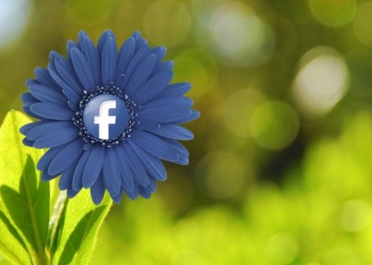facebook-flower